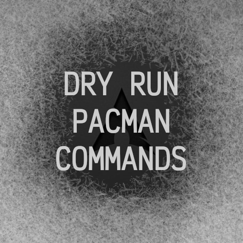 Micro logs #1: Dry run with pacman package manager